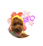 わたしのくまちゃん♡（個別スタンプ：5）