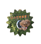 わたしのくまちゃん♡（個別スタンプ：10）