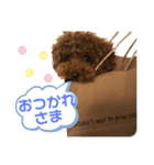 わたしのくまちゃん♡（個別スタンプ：12）