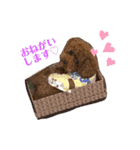 わたしのくまちゃん♡（個別スタンプ：16）