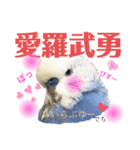 ジャンボセキセイ ピー助さんとの日々3（個別スタンプ：4）