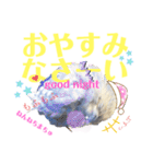 ジャンボセキセイ ピー助さんとの日々3（個別スタンプ：17）