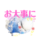 ジャンボセキセイ ピー助さんとの日々3（個別スタンプ：19）