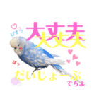 ジャンボセキセイ ピー助さんとの日々3（個別スタンプ：20）