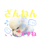 ジャンボセキセイ ピー助さんとの日々3（個別スタンプ：25）