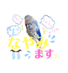 ジャンボセキセイ ピー助さんとの日々3（個別スタンプ：28）