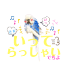 ジャンボセキセイ ピー助さんとの日々3（個別スタンプ：31）