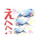 ジャンボセキセイ ピー助さんとの日々3（個別スタンプ：35）