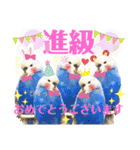 ジャンボセキセイ ピー助さんとの日々3（個別スタンプ：39）