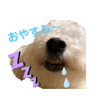 ひなんぷ vol.1（個別スタンプ：1）