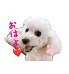 ひなんぷ vol.1（個別スタンプ：2）