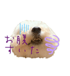 ひなんぷ vol.1（個別スタンプ：3）