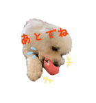ひなんぷ vol.1（個別スタンプ：4）