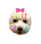ひなんぷ vol.1（個別スタンプ：5）
