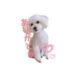 ひなんぷ vol.1（個別スタンプ：6）