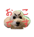 ひなんぷ vol.1（個別スタンプ：8）