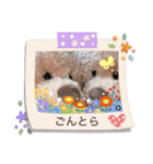 ごんとらスタンプ（個別スタンプ：1）