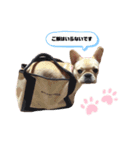 BOSS＆MAME（個別スタンプ：15）