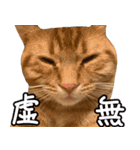 うちのねこたち（まるズ）（個別スタンプ：13）