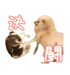 うちのねこたち（まるズ）（個別スタンプ：27）