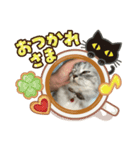 ホーペ（個別スタンプ：4）
