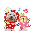 マルプー.めるさんNo.3（個別スタンプ：26）