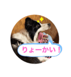 進藤家のすたんぷ（個別スタンプ：7）