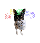 JD ＆LILLA full version（個別スタンプ：1）