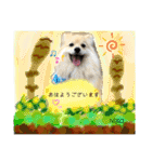 デカイけどポメ ニコくん（個別スタンプ：1）