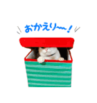 Kさん家のミル その3（個別スタンプ：3）