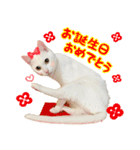 Kさん家のミル その3（個別スタンプ：11）