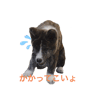 こゆとら もしもしバージョン（個別スタンプ：3）