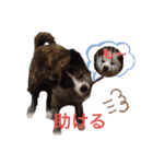 こゆとら もしもしバージョン（個別スタンプ：10）