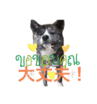 こゆとら もしもしバージョン（個別スタンプ：14）