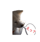 こゆとら もしもしバージョン（個別スタンプ：17）