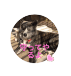 こゆとら もしもしバージョン（個別スタンプ：18）