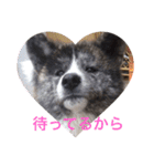 こゆとら もしもしバージョン（個別スタンプ：23）