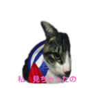 うりおっさん（個別スタンプ：2）