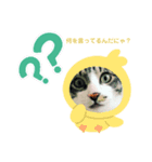 うりおっさん（個別スタンプ：3）