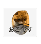 Minto's life（個別スタンプ：2）