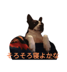関西弁のてりやきさん。（個別スタンプ：3）
