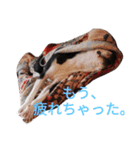 関西弁のてりやきさん。（個別スタンプ：4）