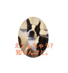 関西弁のてりやきさん。（個別スタンプ：5）