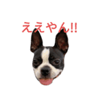 関西弁のてりやきさん。（個別スタンプ：10）