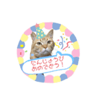 むぎちゃんの日常。2（個別スタンプ：16）