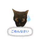 むぎちゃんの日常。2（個別スタンプ：29）