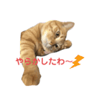 むぎちゃんの日常。2（個別スタンプ：32）