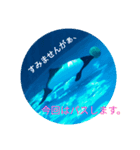 スタ帳1（個別スタンプ：1）