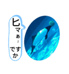 スタ帳1（個別スタンプ：5）
