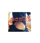 まんつだスタンプ（個別スタンプ：2）